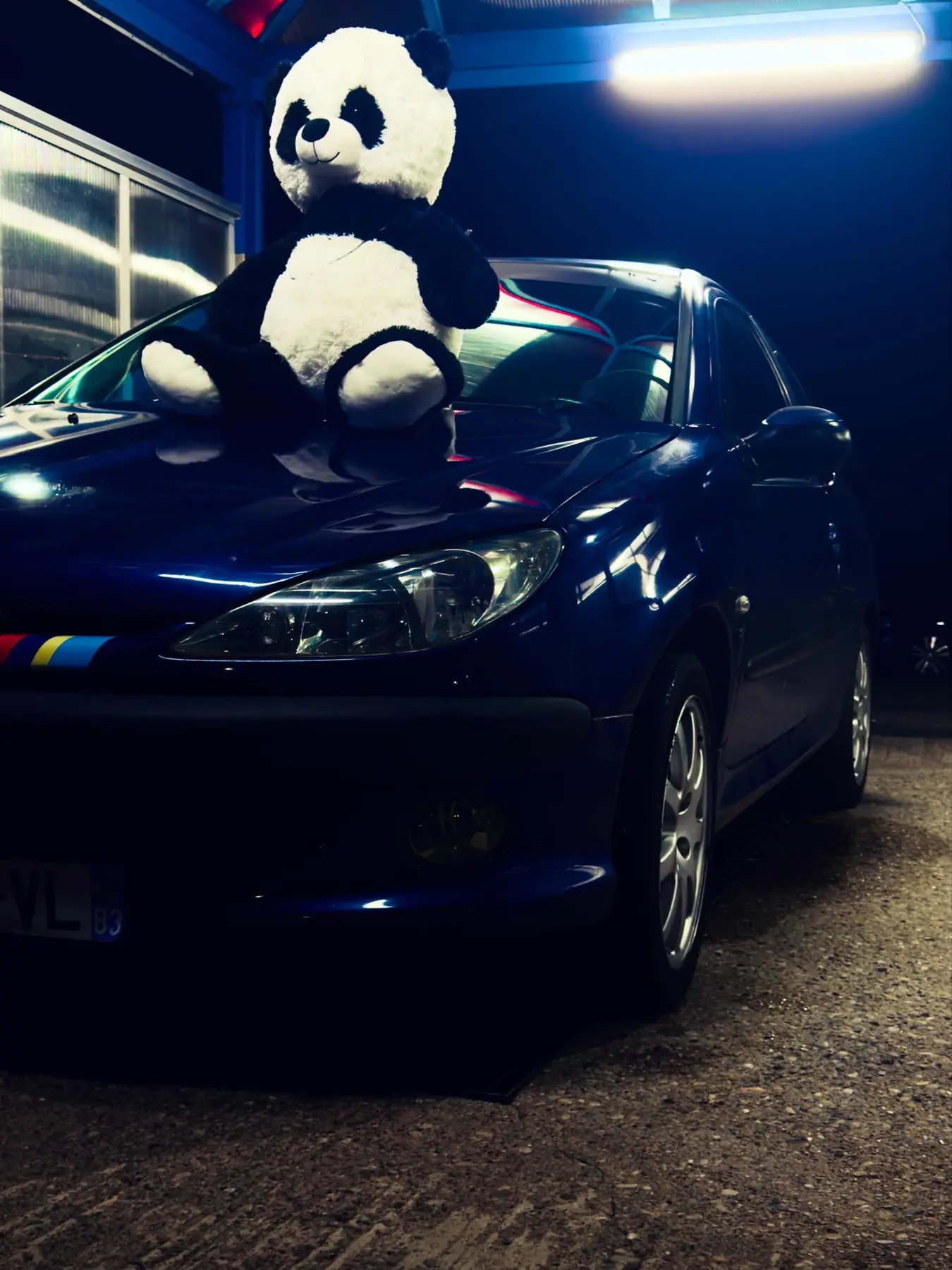 Peugeot 206 à la station de lavage